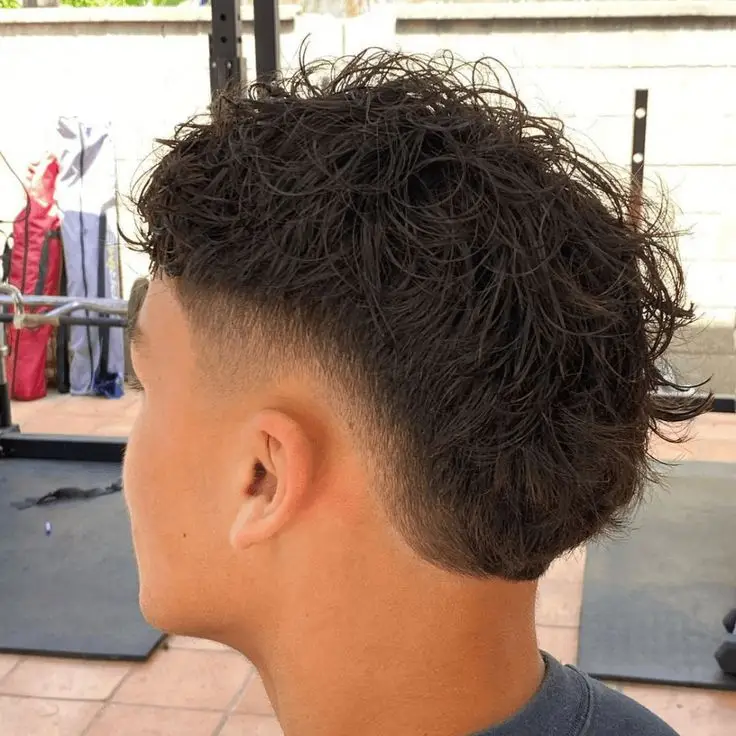 Taper/Mullet 101137 - Tamadon Barbers Taper/Mullet - Regular - Tamadon barbers - Image 101137