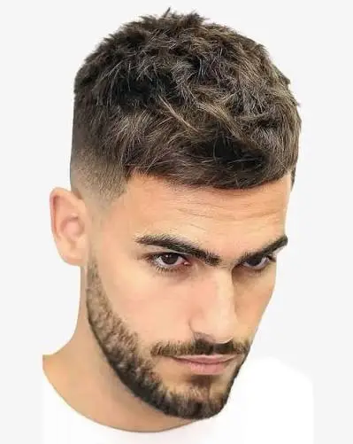 Face clipper cut 631960 - Tamadon Barbers Face clipper cut - Regular - Tamadon barbers - Image 631960